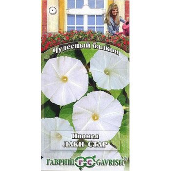Ипомея Лаки стар /3 семечка/ *Гавриш*