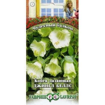 Кобея Джингл беллс /5 семян/ *Гавриш*