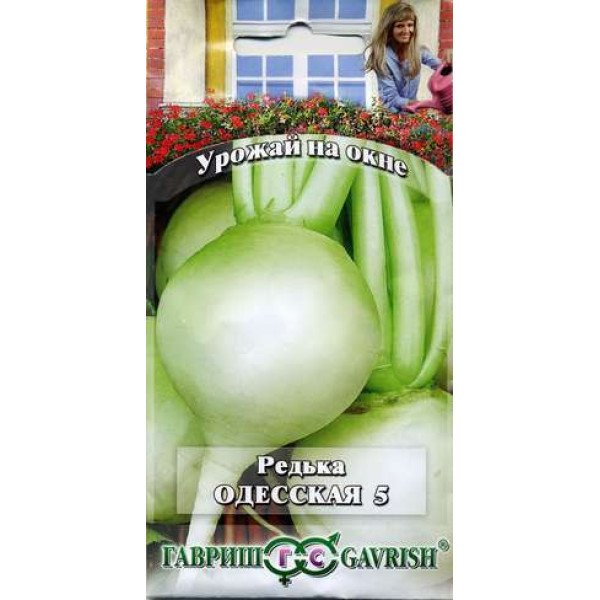 Насіння редьки Одеська 5 /2 г/ *Гавриш*