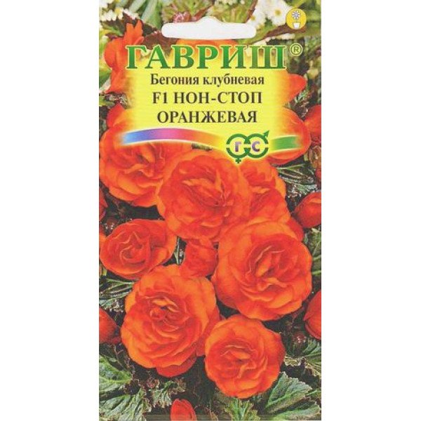 Бегонія Нон-стоп F1 помаранчева /4 насінини/ *Гавриш*
