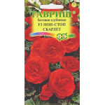 Бегония Нон-стоп F1 скарлет /4 семечка/ *Гавриш*