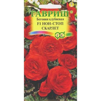 Бегонія Нон-стоп F1 скарлет /4 насінини/ *Гавриш*