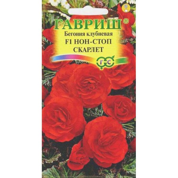 Бегония Нон-стоп F1 скарлет /4 семечка/ *Гавриш*