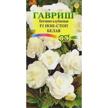Бегонія Нон-стоп F1 біла /4 насінини/ *Гавриш*