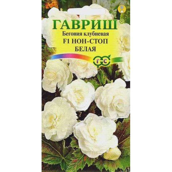 Насіння бегонія Нон-стоп F1 біла /4 насінини/ *Гавриш*