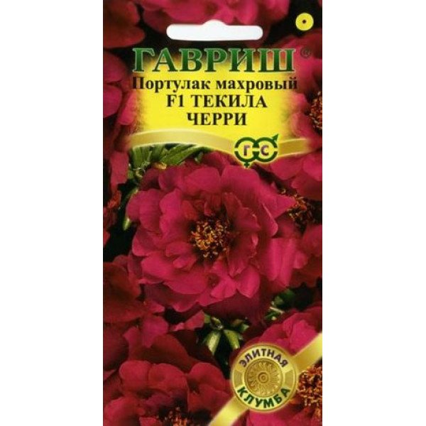 Портулак Текіла Черрі F1 /5 насінин/ *Гавриш*
