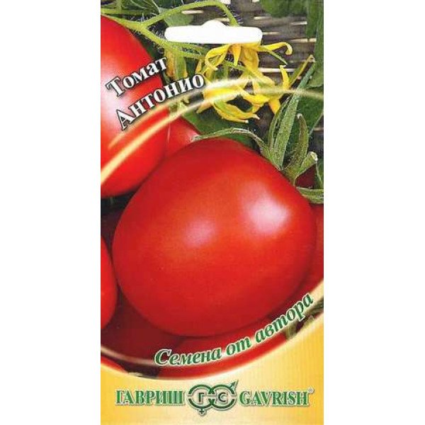 Семена томата Антонио /0,3 г/ *Гавриш*