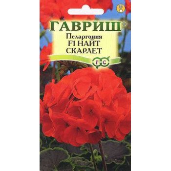 Пеларгония Найт F1 скарлет /4 семечка/ *Гавриш*