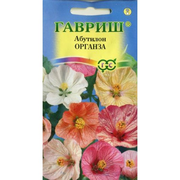 Семена абутилона Органза смесь /10 семян/ *Гавриш*