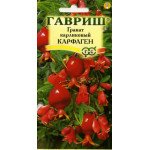 Гранат карликовий Карфаген /5 насінин/ *Гавриш*