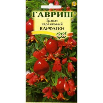 Гранат карликовый Карфаген /5 семян/ *Гавриш*