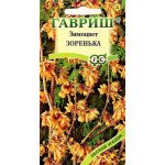 Зимоцвіт ранній Зоренька /3 насінини/ *Гавриш*