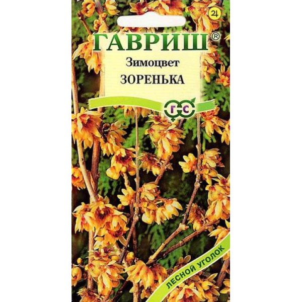 Зимоцвіт ранній Зоренька /3 насінини/ *Гавриш*