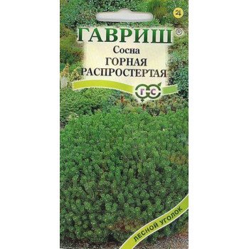 Сосна горная распростертая /3 семечка/ *Гавриш*