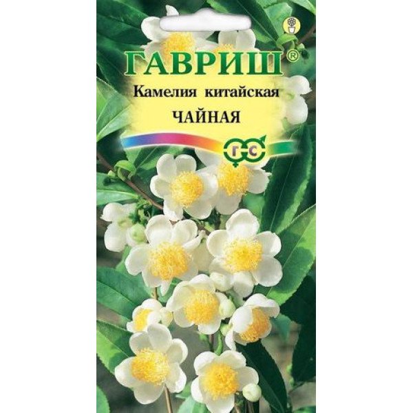 Камелія китайська Чайна /3 насінини/ *Гавриш*