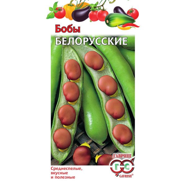 Насіння бобів Білоруські /10 насінин/ *Гавриш*