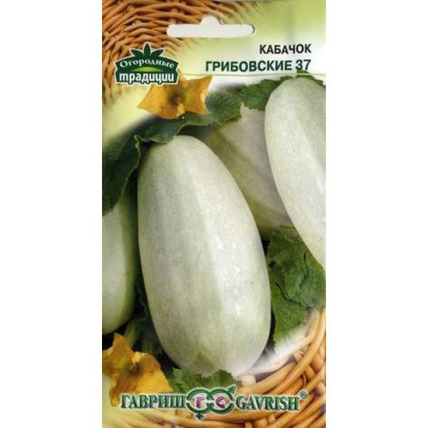 Насіння кабачка-цукіні Грибовські 37 /2 г/ *Гавриш*