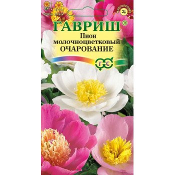 Пион молочноцветковый Очарование /3 семечка/ *Гавриш*