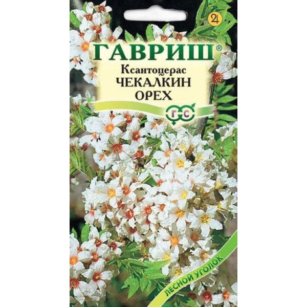 Ксантоцерас Чекалкін горіх /3 насінини/ *Гавриш*