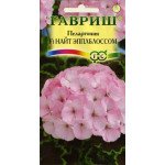 Пеларгония Найт F1 эплблоссом /4 семечка/ *Гавриш*
