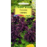 Сальвия Сириус карликовая /5 семян/ *Гавриш*