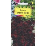 Колеус Бархат ночи /5 семян/ *Гавриш*