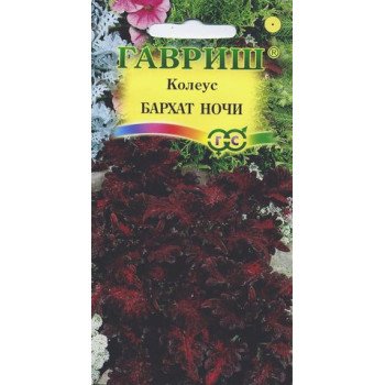 Колеус Бархат ночи /5 семян/ *Гавриш*