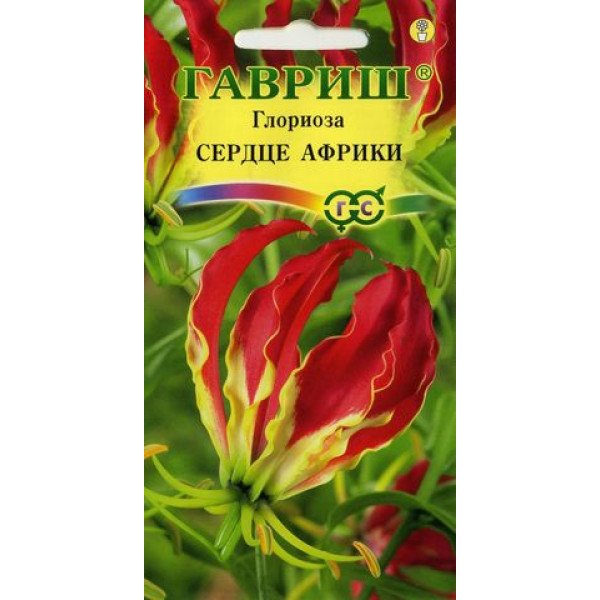 Глоріоза чудова Серце Африки /3 насінини/ *Гавриш*