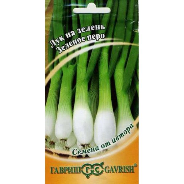 Насіння цибулі на зелень Зелене перо /0,5 г/ *Гавриш*