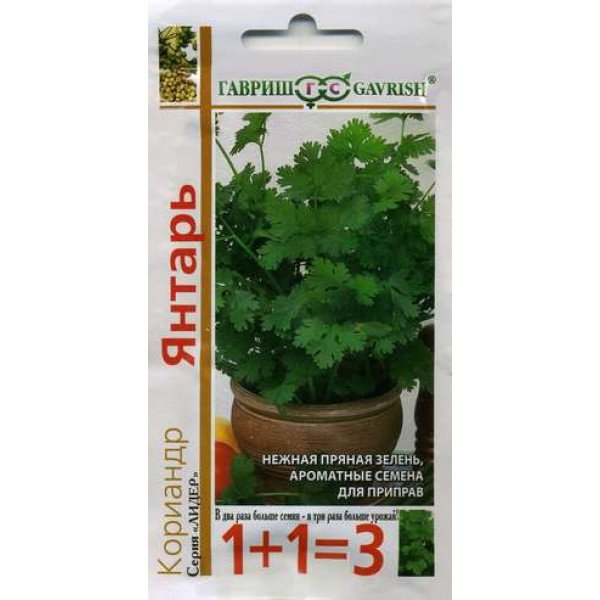Насіння коріандру Бурштин /5 г/ *Гавриш*