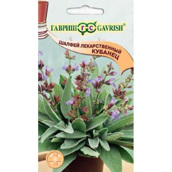 Насіння шавлії лікарської Кубанець /0,3 г/ *Гавриш*