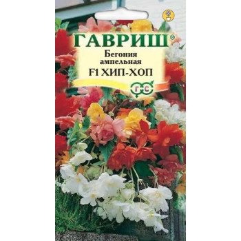 Бегонія Хіп-Хоп F1 /4 насінини/ *Гавриш*