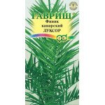Финик канарский Луксор /2 семечка/ *Гавриш*
