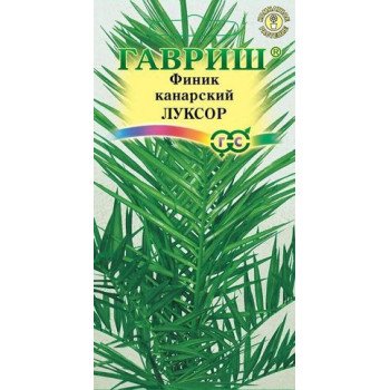 Финик канарский Луксор /2 семечка/ *Гавриш*
