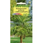 Вашингтонія потужна Санта-Барбара /3 насінини/ *Гавриш*