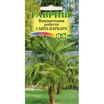 Вашингтония мощная Санта-Барбара /3 семечка/ *Гавриш*