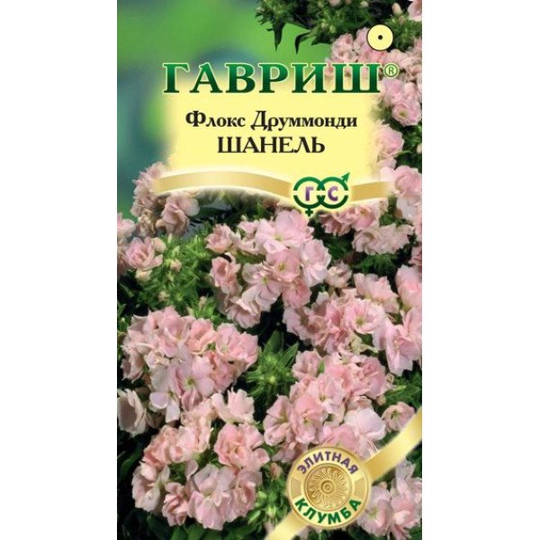 Флокс Шанель /8 насінин/ *Гавриш*