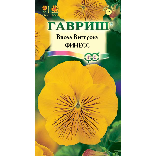 Семена виолы Финесс /5 семян/ *Гавриш*