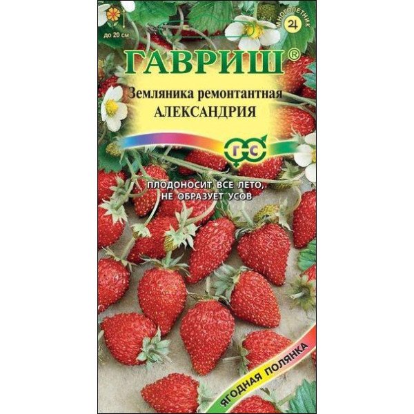 Семена земляники Александрия /0,03 г/ *Гавриш*