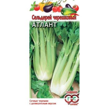 Сельдерей черешковый Атлант /0,3 г/ *Гавриш*