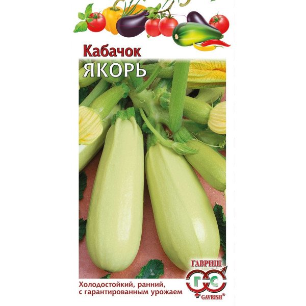 Семена кабачка Якорь /2 г/ *Гавриш*