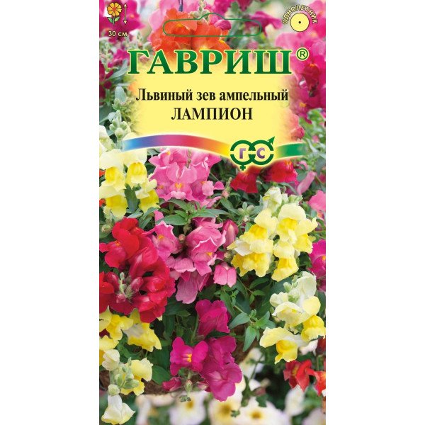 Насіння лев'ячого зіва ампельний Лампіон /5 насінин/ *Гавриш*