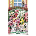 Антірінум ампельний Амулет /5 насінин/ *Гавриш*
