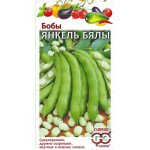 Бобы Янкель Бялы /10 семян/ *Гавриш*