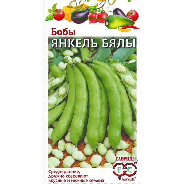 Семена бобов Янкель Бялы /10 семян/ *Гавриш*