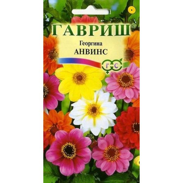 Насіння жоржини Анвінс суміш /0,3г/ *Гавриш*