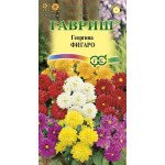 Жоржина Фігаро /10 насінин/ *Гавриш*