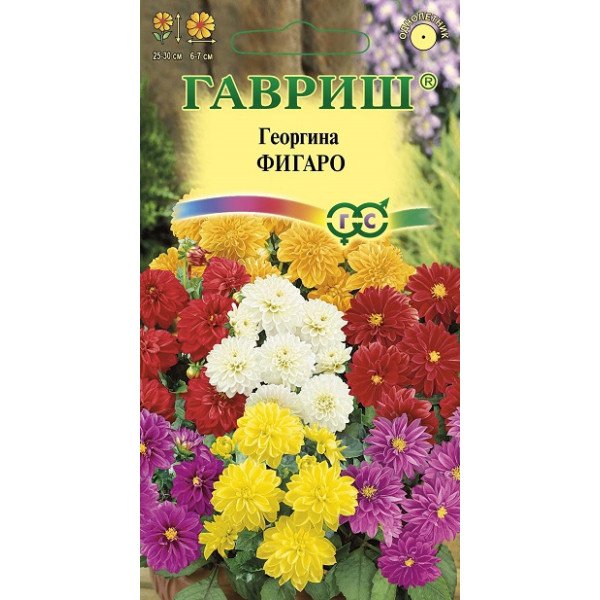 Семена георгины Фигаро /10 семян/ *Гавриш*