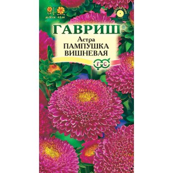 Астра Пампушка вишневая /0,3 г/ *Гавриш*