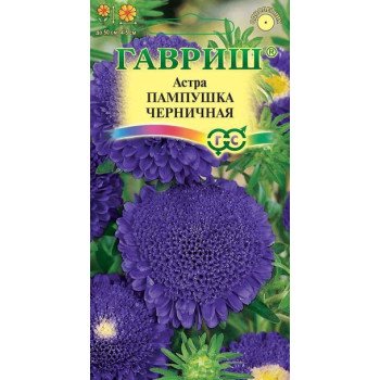Астра Пампушка черничная /0,3 г/ *Гавриш*